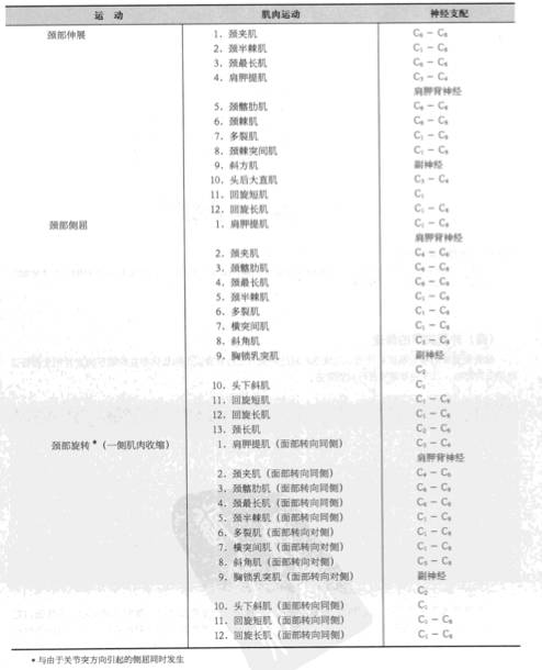 颈椎肌动学基础与评估，详细讲解！