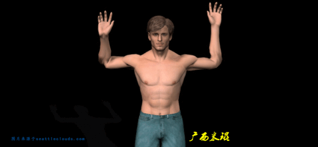 肩关节的体格检查，这篇文章讲得太全了！