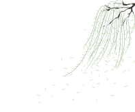 绿叶,草,树枝,柳枝