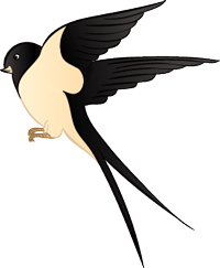 鸟,小鸟,动态小鸟