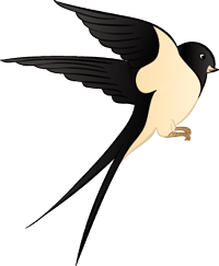 鸟,小鸟,动态小鸟