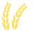 小麦,麦穗