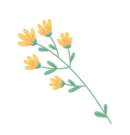 花朵,花丛,春天,花枝