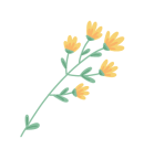 花朵,花丛,春天,花枝