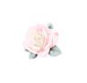玫瑰花,情人节