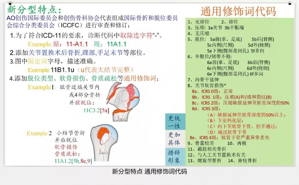 值得收藏！最全的AO骨折分型图谱