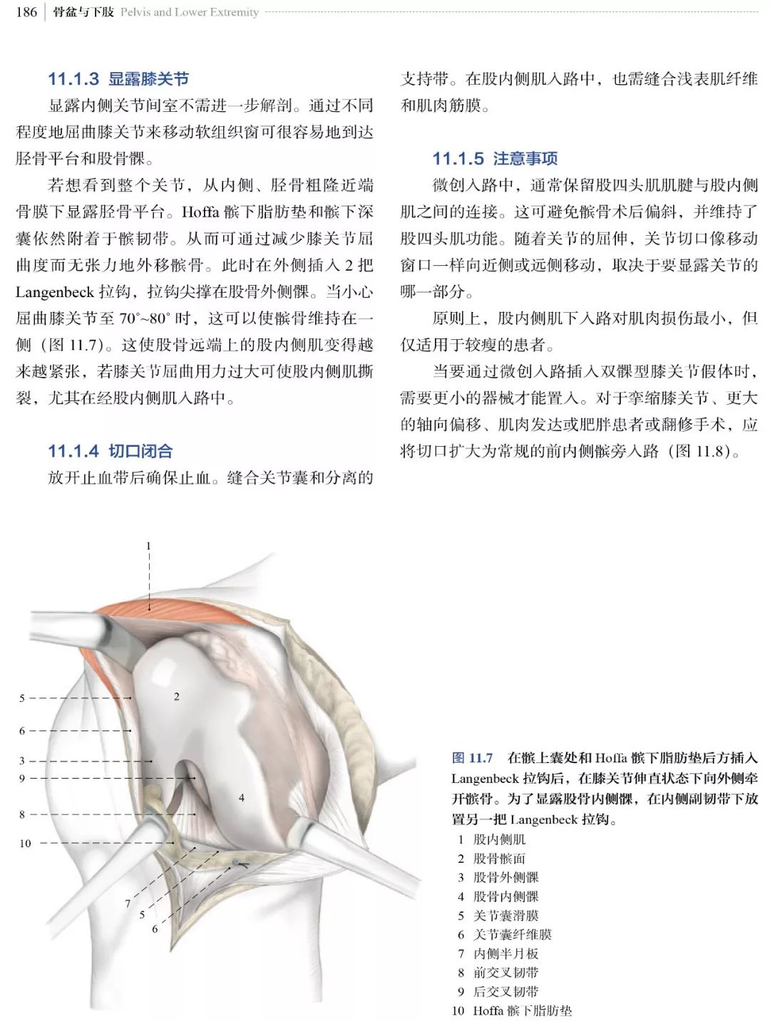 新书推荐：经典骨科手术入路方式，都在这本书里了！