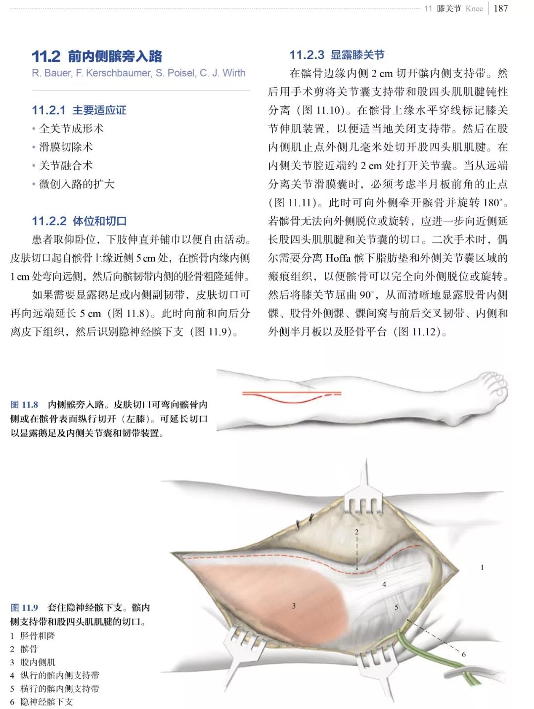 新书推荐：经典骨科手术入路图解，看这本就够了！