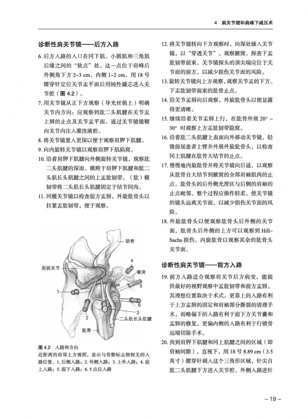 新书推荐：如何快速掌握骨科关键技术？这本书告诉你！