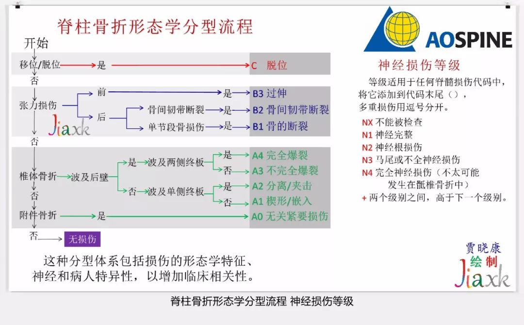 值得收藏！最全的AO骨折分型图谱