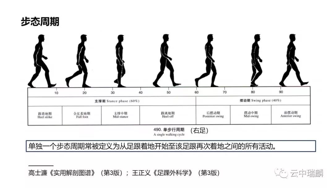 一文掌握：肌腱转位的原则及手术要点