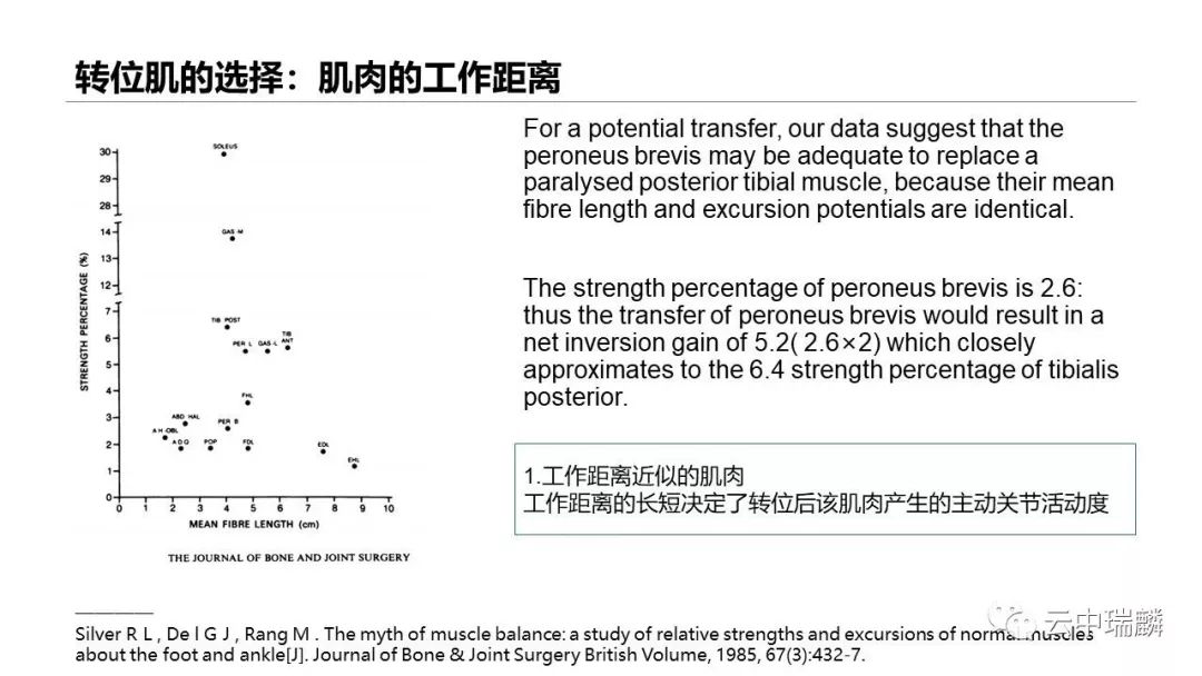 一文掌握：肌腱转位的原则及手术要点