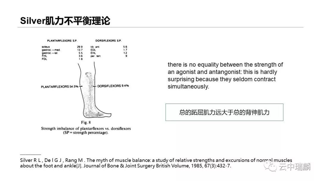 一文掌握：肌腱转位的原则及手术要点