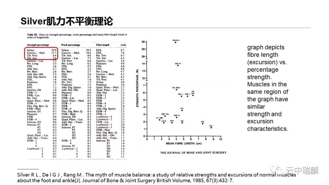 一文掌握：肌腱转位的原则及手术要点