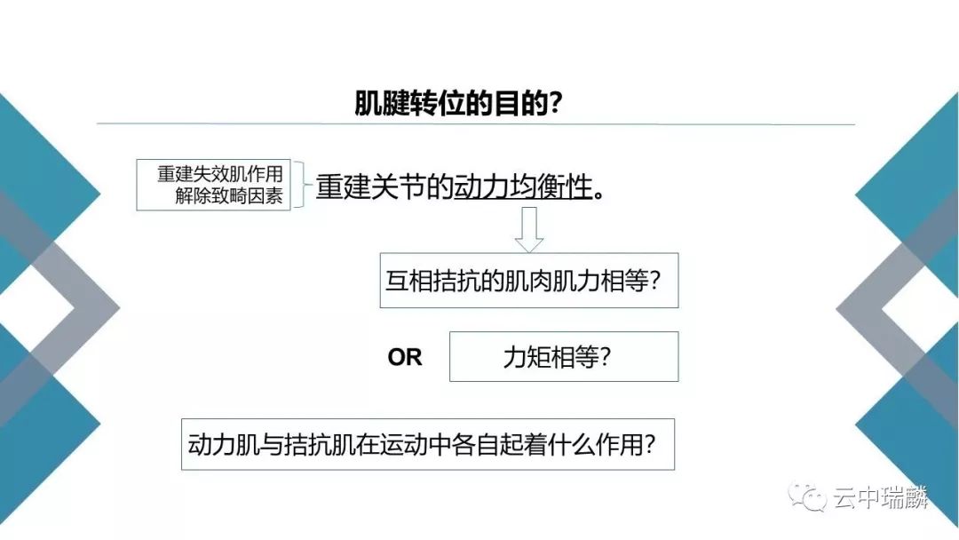 一文掌握：肌腱转位的原则及手术要点