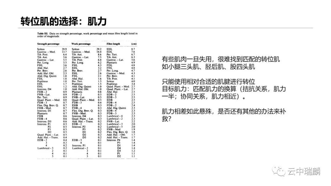 一文掌握：肌腱转位的原则及手术要点