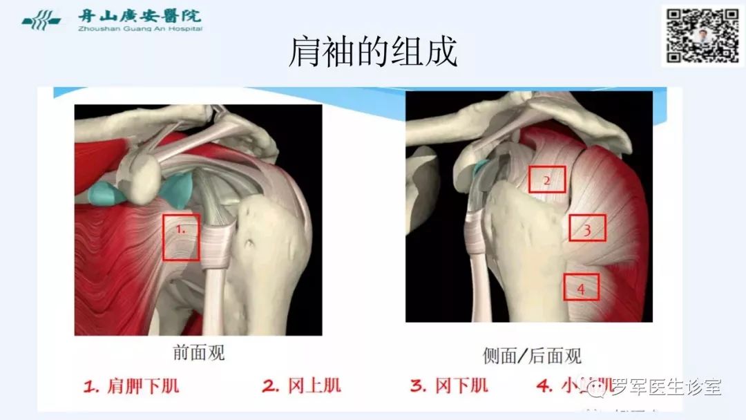 治疗肩袖撕裂，告诉你一种新的修补技术！