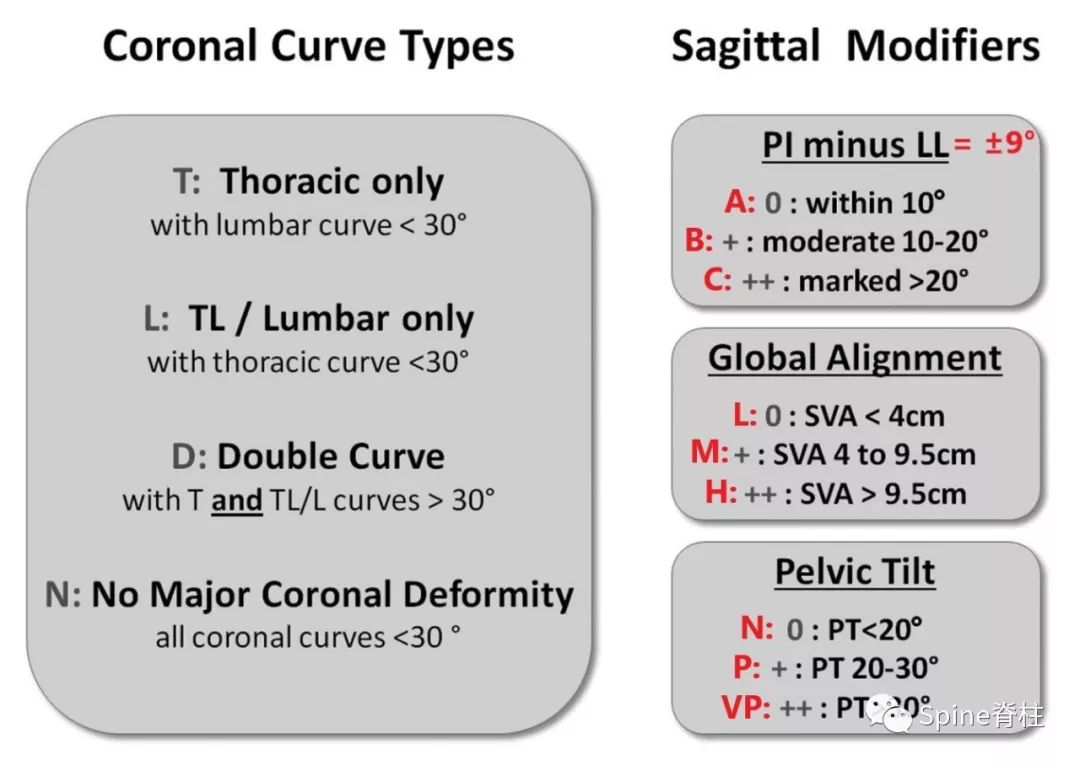 想系统了解成人脊柱畸形？看看这篇！