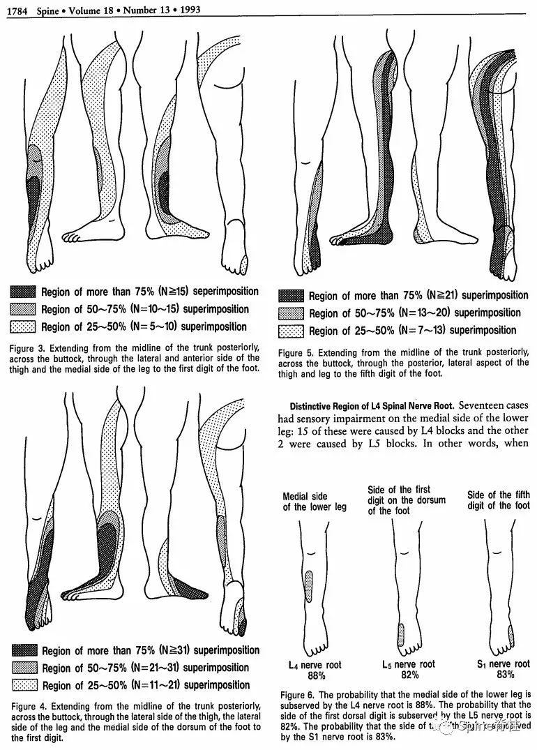 你全面了解L4-S1神经根支配区吗？