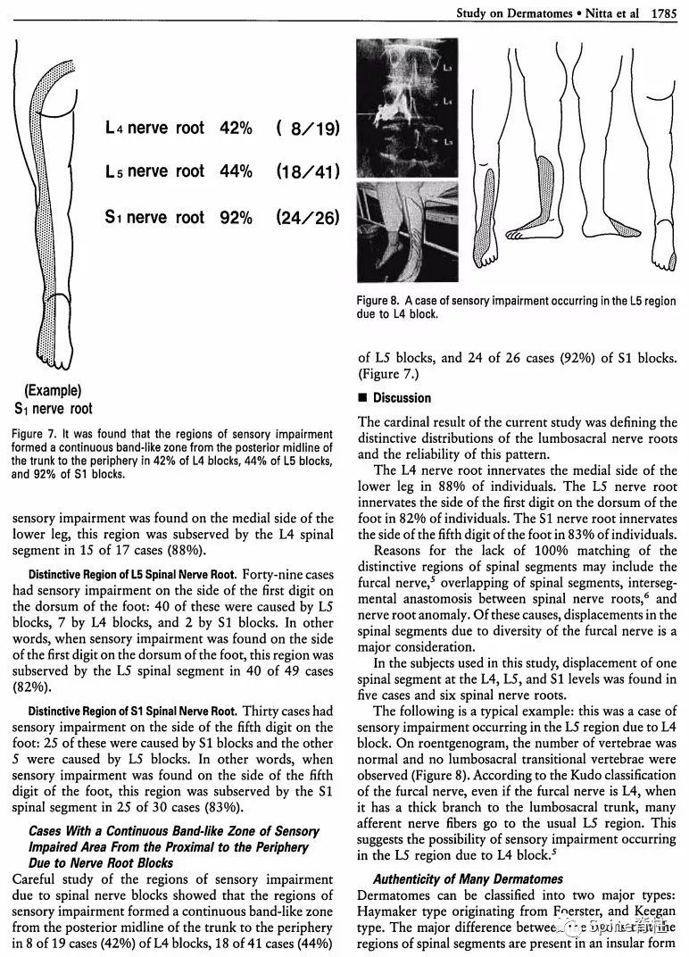 你全面了解L4-S1神经根支配区吗？