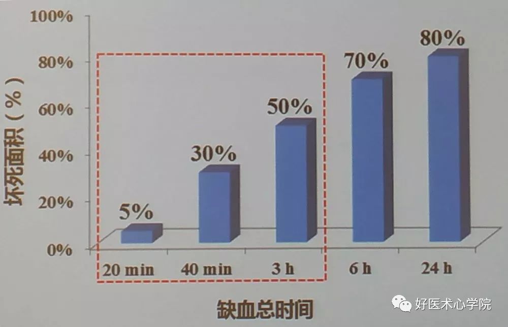 CSC2019：急性心梗错过了最佳手术时间，该何去何从？