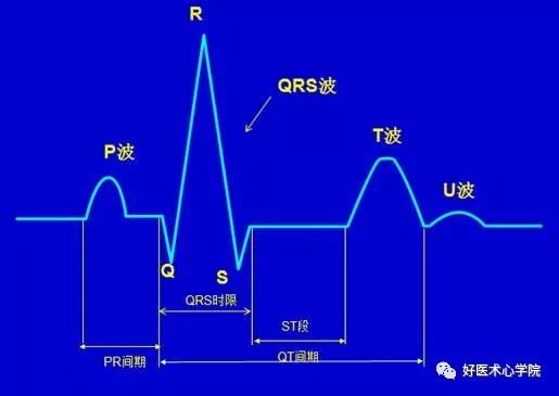 窦性心律，到底是个什么“病”？