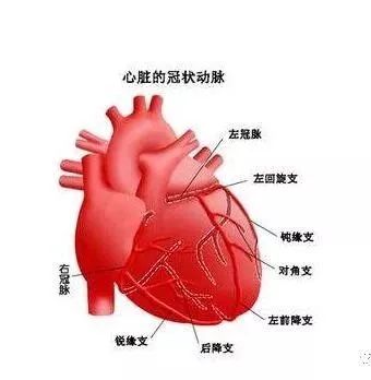 麻醉跟心脏有什么关系？还会心肌缺血？
