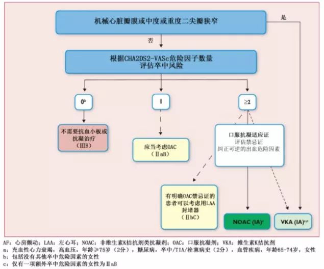 中国心房颤动患者卒中预防规范