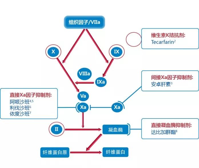 中国心房颤动患者卒中预防规范