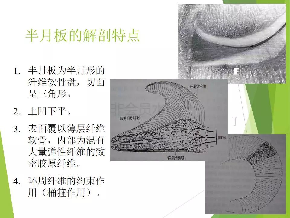 半月板损伤关节内及关节外各种缝合技术及应用