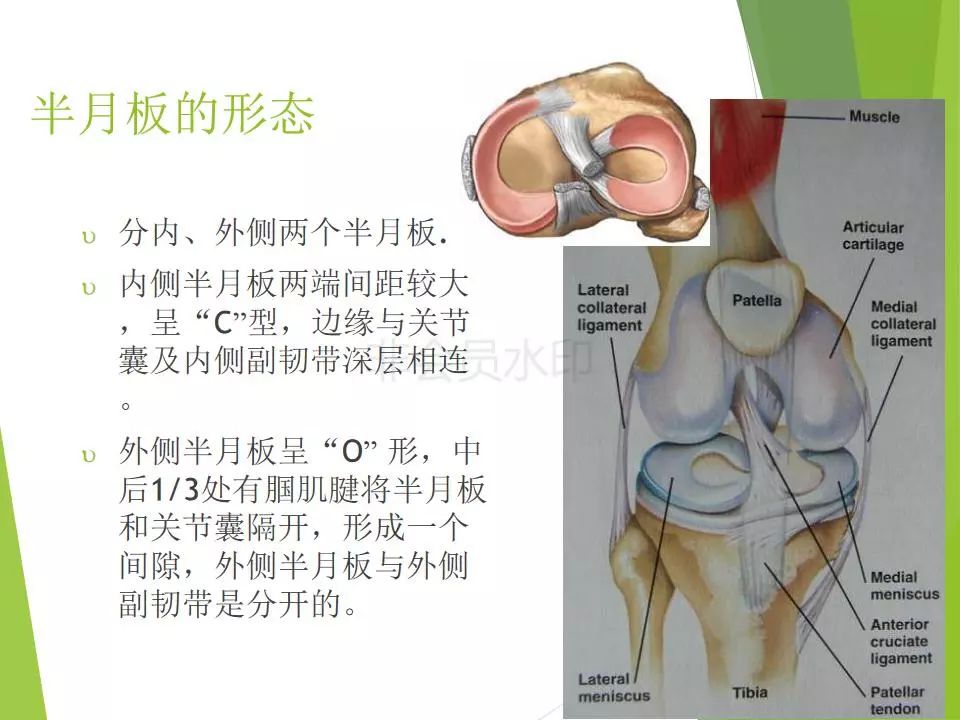 半月板损伤关节内及关节外各种缝合技术及应用