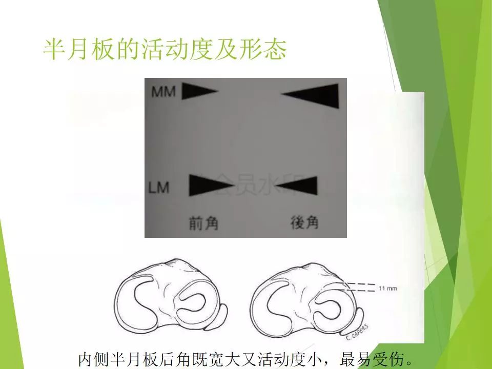 半月板损伤关节内及关节外各种缝合技术及应用