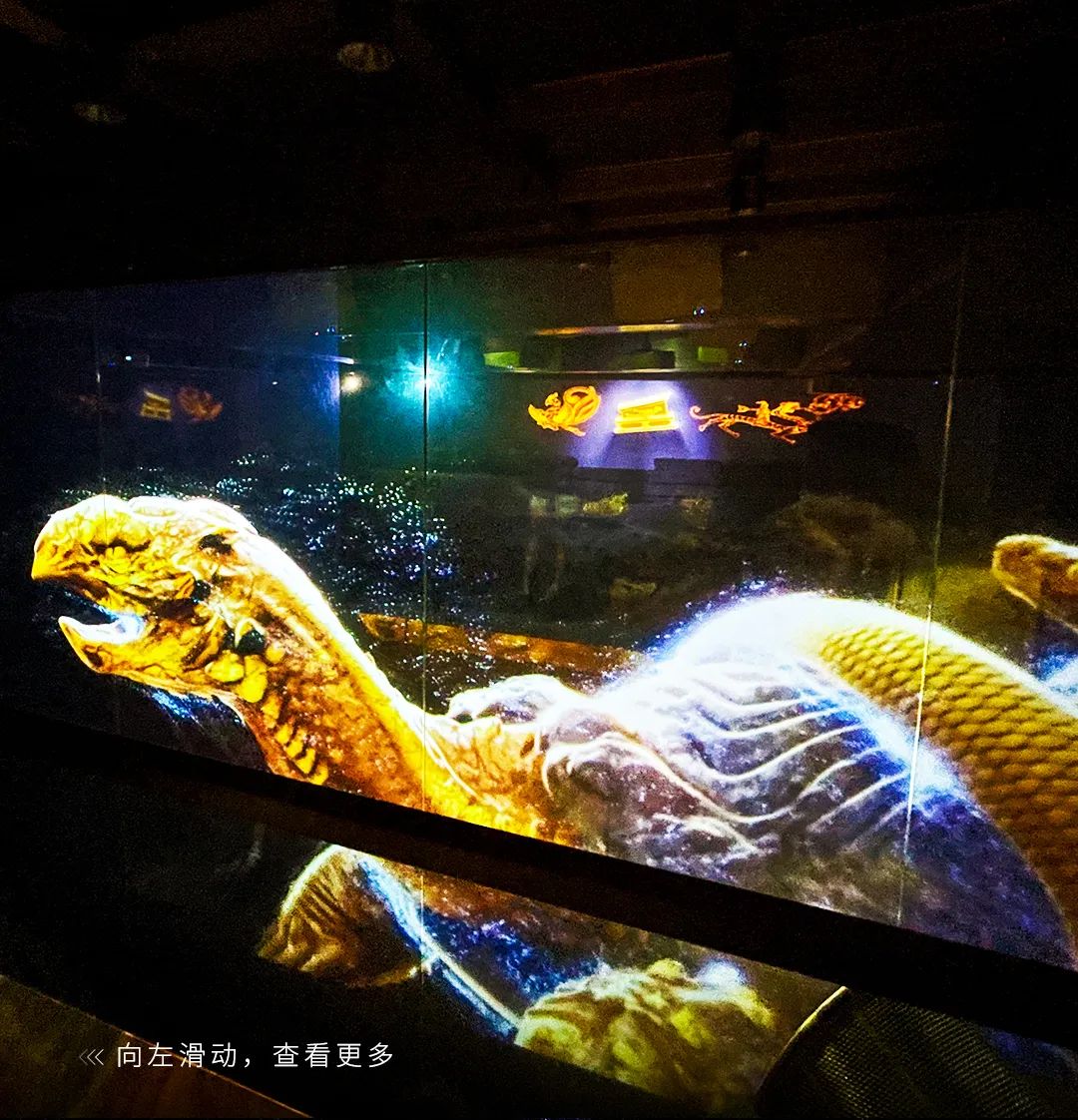 文化和自然遗产日特辑 |跟随NEC投影机开启文化传承奇妙之旅