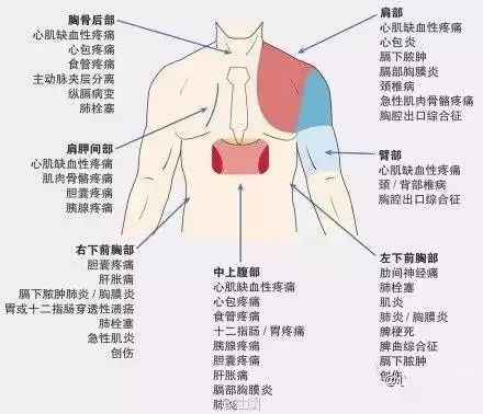 心血管系统及疾病图解大合集，值得收藏！