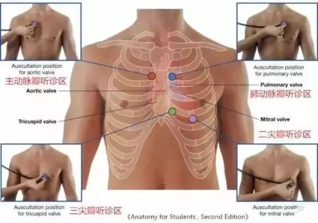 心血管系统及疾病图解大合集，值得收藏！