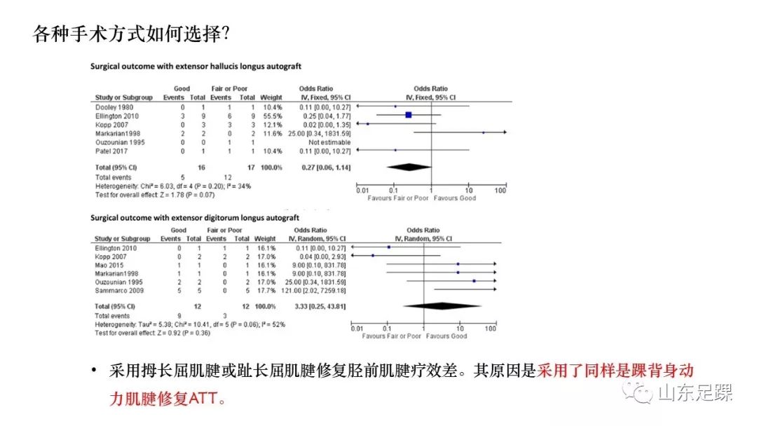 胫前肌腱病变的诊治，值得一看！