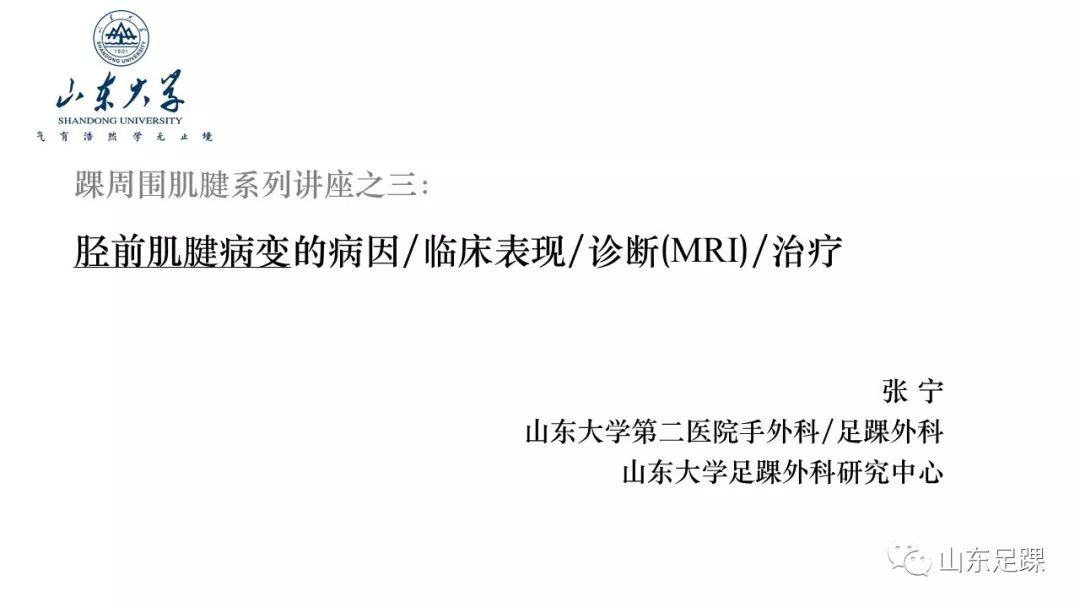 胫前肌腱病变的诊治，值得一看！