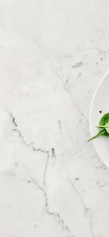 pexels-photo-1095550 (1).jpeg