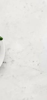 pexels-photo-1095550 (1).jpeg