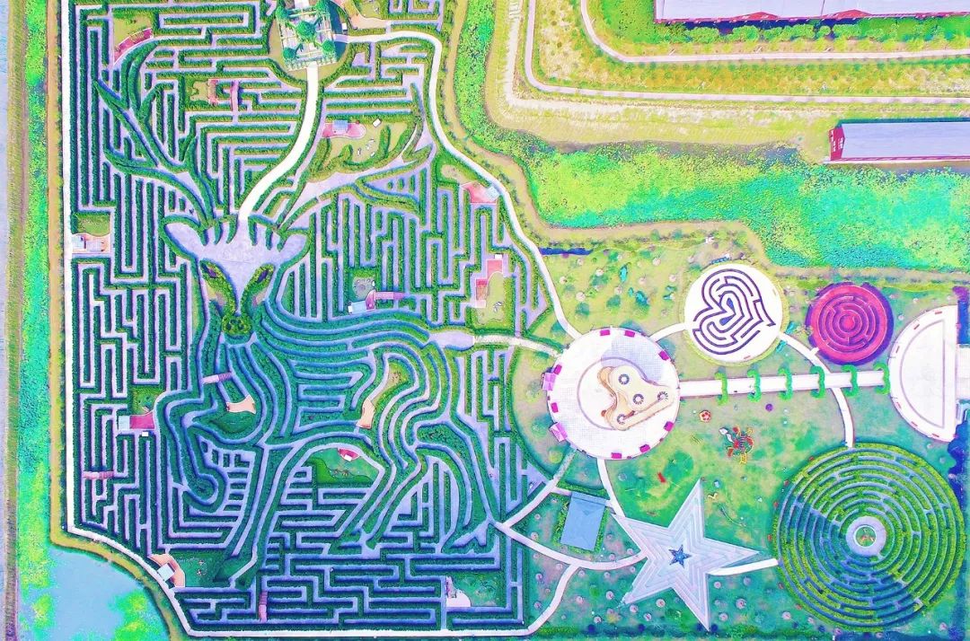 麋鹿迷宫 植物迷宫,是梦幻迷宫景区的标志性项目.