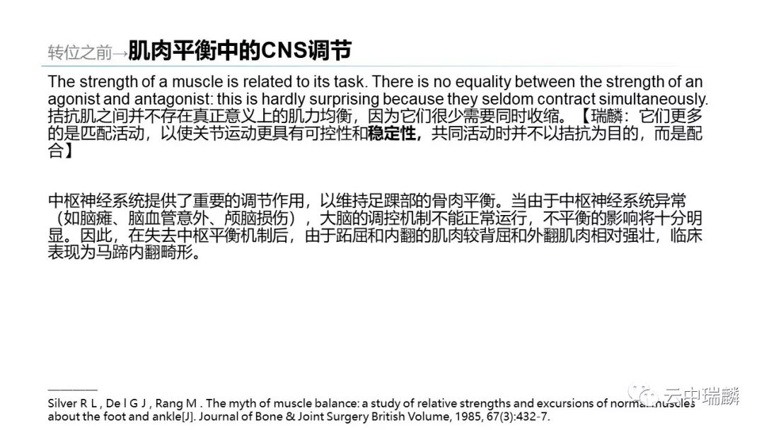 肌腱转位的原则及手术要点，详细解析！