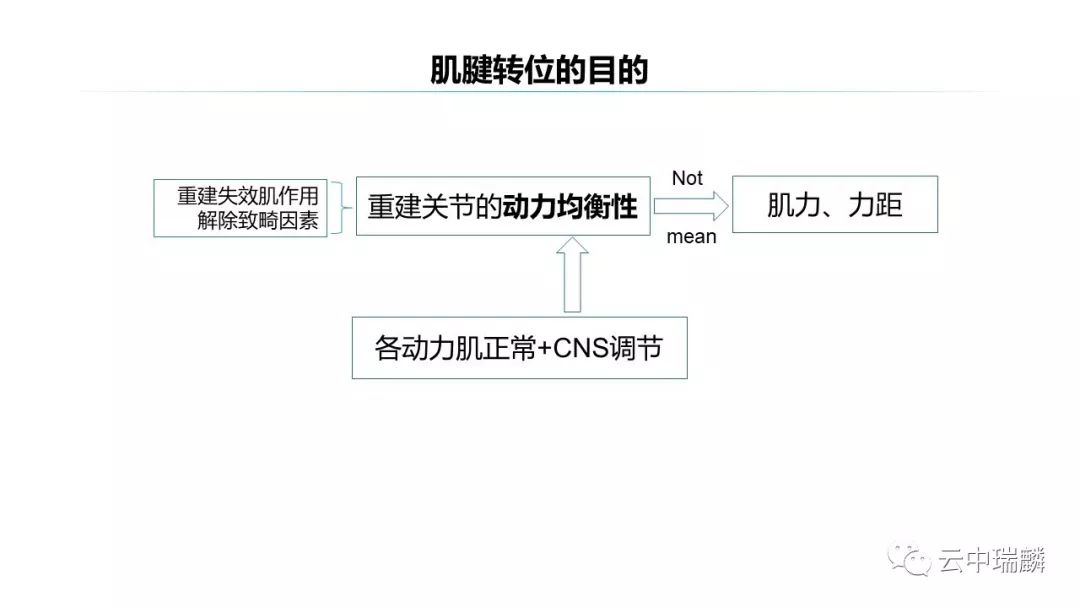 肌腱转位的原则及手术要点，详细解析！