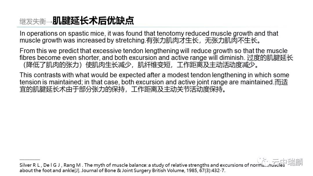 肌腱转位的原则及手术要点，详细解析！