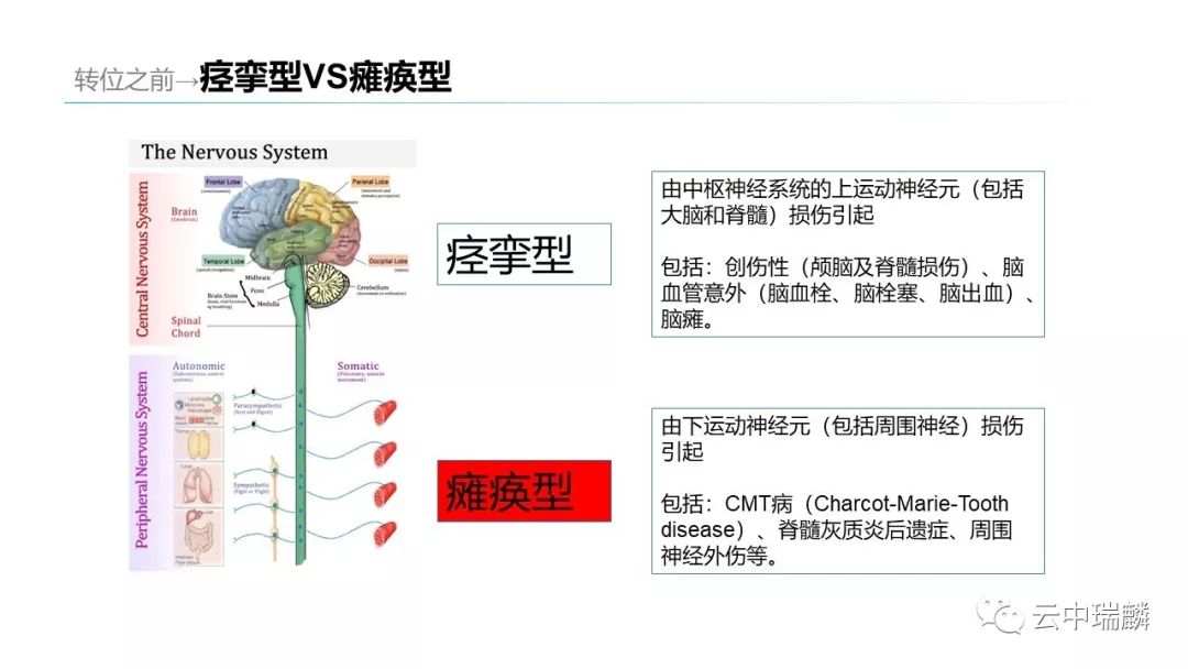 肌腱转位的原则及手术要点，详细解析！