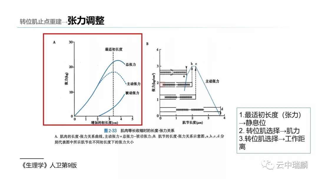 肌腱转位的原则及手术要点，详细解析！