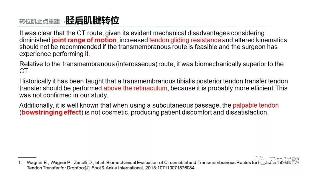 一文掌握：肌腱转位的原则及手术要点
