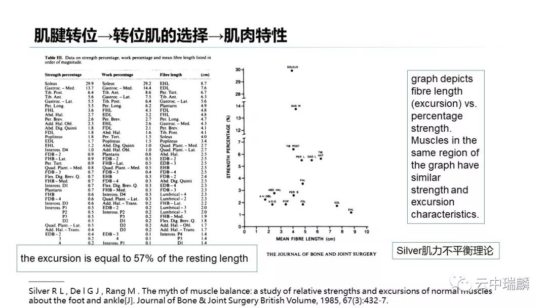 一文掌握：肌腱转位的原则及手术要点