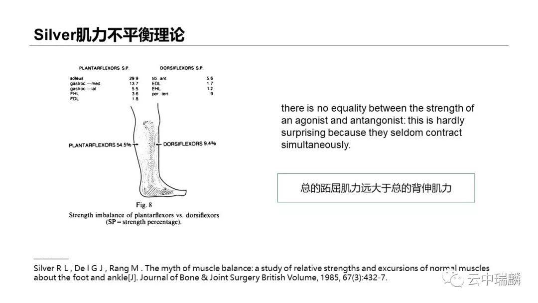 肌腱转位的原则及手术要点，详细解析！