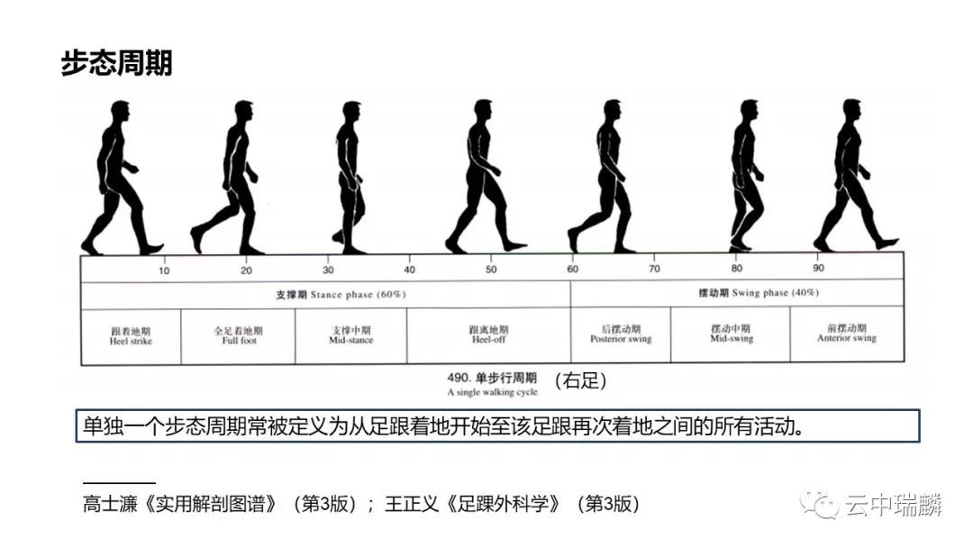 肌腱转位的原则及手术要点，详细解析！