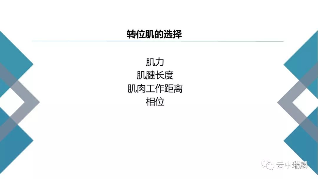 肌腱转位的原则及手术要点，详细解析！